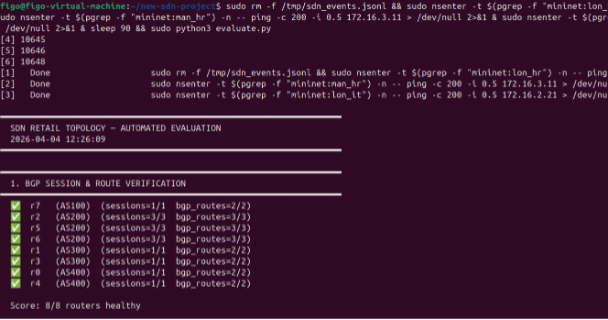 BGP session verification — 8/8 routers healthy
